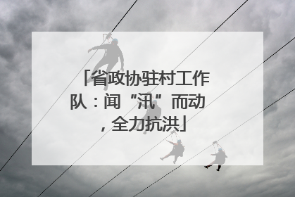 省政协驻村工作队：闻“汛”而动，全力抗洪