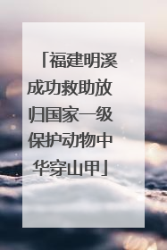 福建明溪成功救助放归国家一级保护动物中华穿山甲