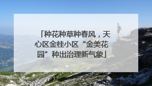 种花种草种春风，天心区金桂小区“金美花园”种出治理新气象