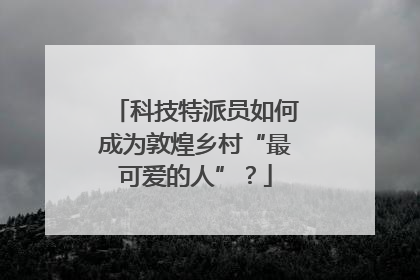 科技特派员如何成为敦煌乡村“最可爱的人”？