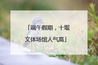 端午假期，十堰文体场馆人气高