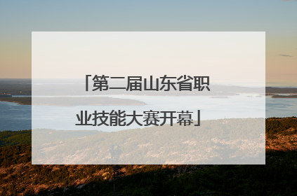 第二届山东省职业技能大赛开幕