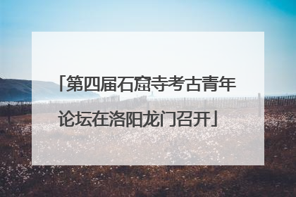 第四届石窟寺考古青年论坛在洛阳龙门召开