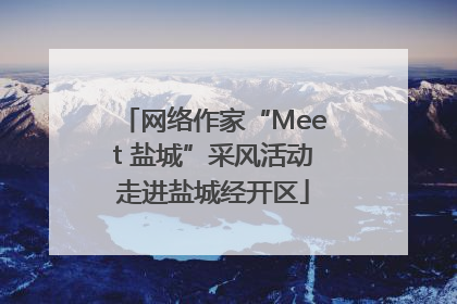 网络作家“Meet 盐城”采风活动走进盐城经开区