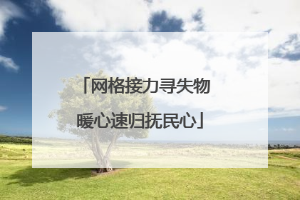 网格接力寻失物 暖心速归抚民心