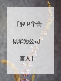 罗卫华会见华为公司客人