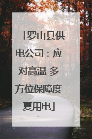 罗山县供电公司：应对高温 多方位保障度夏用电