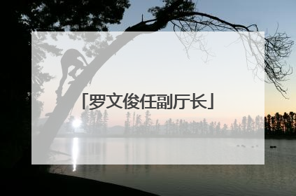 罗文俊任副厅长