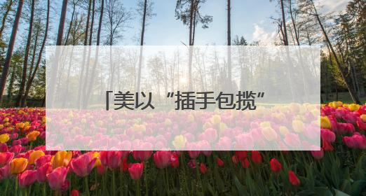 美以“插手包揽”加沙人道物资分发
