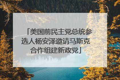 美国前民主党总统参选人杨安泽邀请马斯克合作组建新政党
