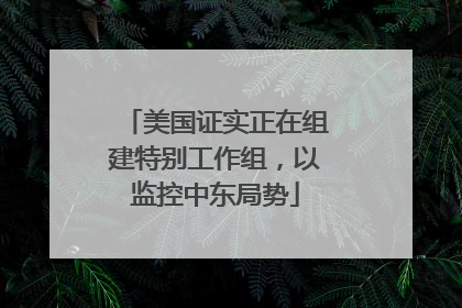 美国证实正在组建特别工作组，以监控中东局势