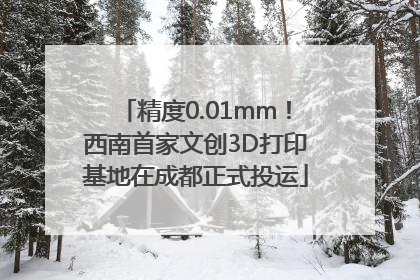 精度0.01mm！西南首家文创3D打印基地在成都正式投运