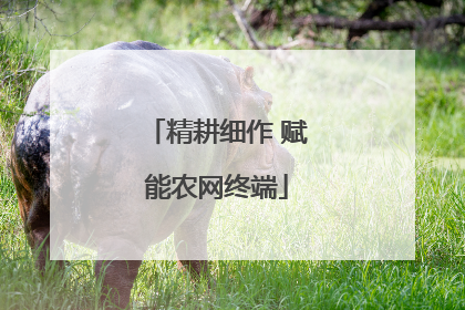 精耕细作 赋能农网终端