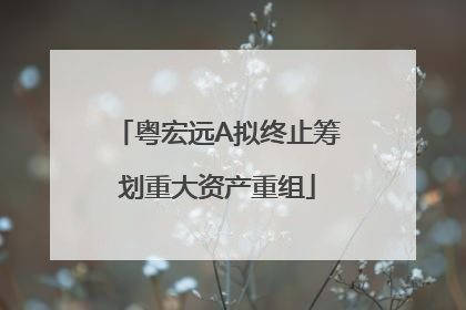 粤宏远A拟终止筹划重大资产重组