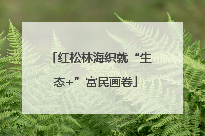 红松林海织就“生态+”富民画卷