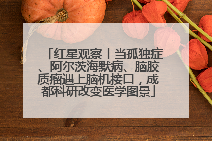 红星观察丨当孤独症、阿尔茨海默病、脑胶质瘤遇上脑机接口，成都科研改变医学图景