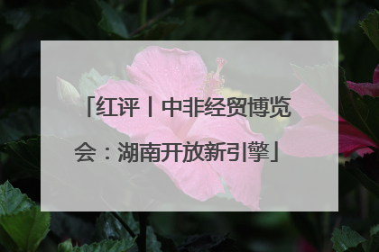 红评丨中非经贸博览会：湖南开放新引擎