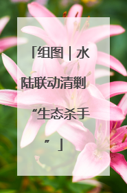 组图｜水陆联动清剿“生态杀手”