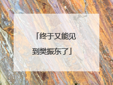 终于又能见到樊振东了