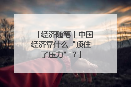 经济随笔丨中国经济靠什么“顶住了压力”？