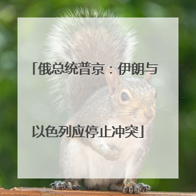 俄总统普京：伊朗与以色列应停止冲突