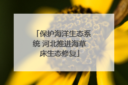 保护海洋生态系统 河北推进海草床生态修复