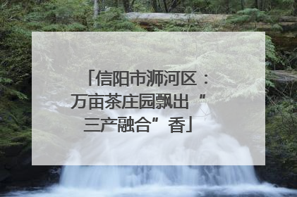信阳市浉河区：万亩茶庄园飘出“三产融合”香