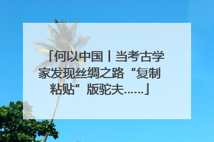 何以中国丨当考古学家发现丝绸之路“复制粘贴”版驼夫……