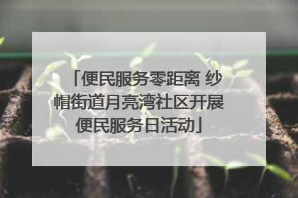 便民服务零距离 纱帽街道月亮湾社区开展便民服务日活动