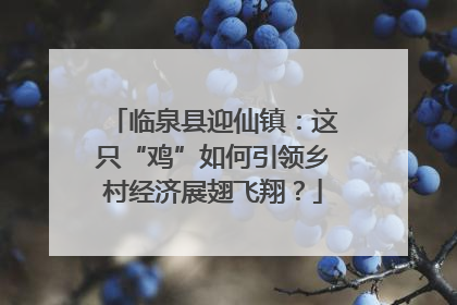 临泉县迎仙镇：这只“鸡”如何引领乡村经济展翅飞翔？