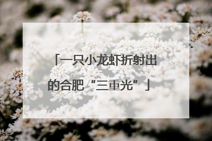 一只小龙虾折射出的合肥“三重光”
