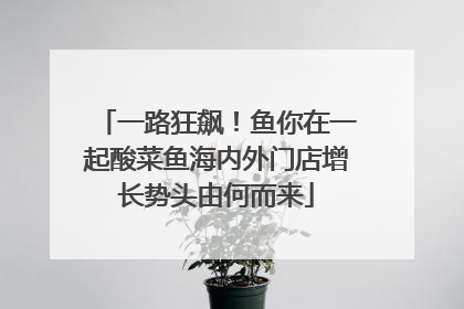 一路狂飙！鱼你在一起酸菜鱼海内外门店增长势头由何而来