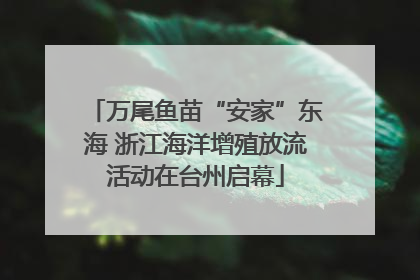 万尾鱼苗“安家”东海 浙江海洋增殖放流活动在台州启幕