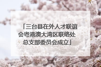 三台县在外人才联谊会粤港澳大湾区联络处总支部委员会成立