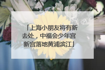上海小朋友将有新去处，中福会少年宫新宫落地黄浦滨江