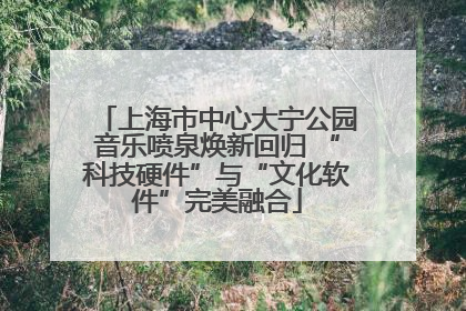 上海市中心大宁公园音乐喷泉焕新回归 “科技硬件”与“文化软件”完美融合
