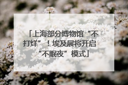 上海部分博物馆“不打烊”！埃及展将开启“不眠夜”模式