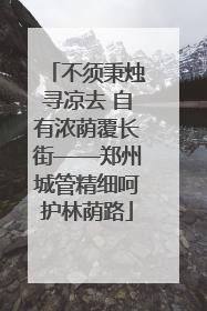不须秉烛寻凉去 自有浓荫覆长街——郑州城管精细呵护林荫路