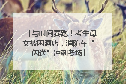 与时间赛跑！考生母女被困酒店，消防车“闪送”冲刺考场