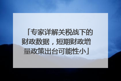 专家详解关税战下的财政数据，短期财政增量政策出台可能性小
