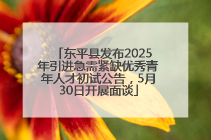 东平县发布2025年引进急需紧缺优秀青年人才初试公告，5月30日开展面谈