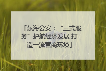 东海公安：“三式服务”护航经济发展 打造一流营商环境