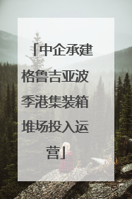 中企承建格鲁吉亚波季港集装箱堆场投入运营