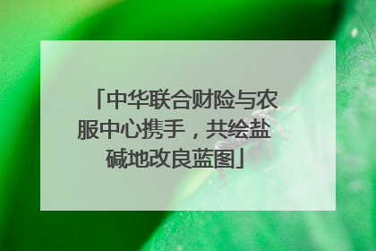 中华联合财险与农服中心携手，共绘盐碱地改良蓝图