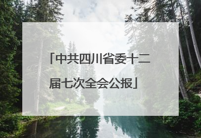 中共四川省委十二届七次全会公报