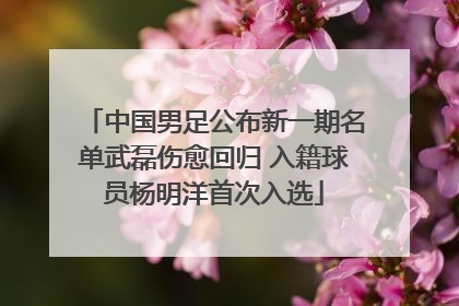 中国男足公布新一期名单武磊伤愈回归 入籍球员杨明洋首次入选