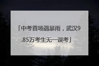 中考首场遇暴雨，武汉9.85万考生无一误考