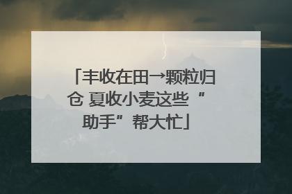 丰收在田→颗粒归仓 夏收小麦这些“助手”帮大忙
