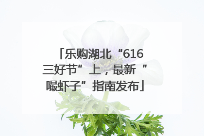 乐购湖北“616三好节”上，最新“嘬虾子”指南发布