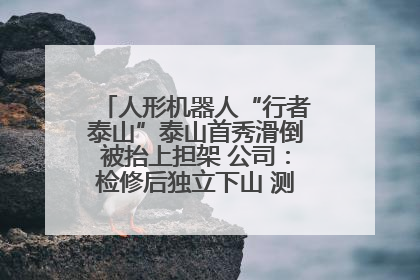 人形机器人“行者泰山”泰山首秀滑倒被抬上担架 公司：检修后独立下山 测试就是为暴露问题